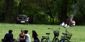 Rovinieta si locurile de gratar gratar