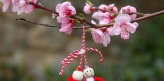 Vine, vine primavara! martisor