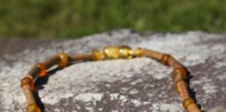 Amintirea vacantei chihlimbar