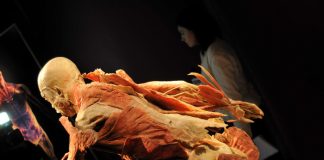 The Human Body : o expozitie controversata