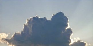 Studiu privind brandul de tara nor-harta