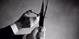 Avea sa-mi fie de folos sa ma simt urata tunsoare