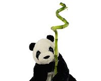 Un afurisit de curier… panda norocos cu bambus