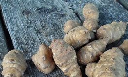 Un alt aliment minunat pentru dieta: napii